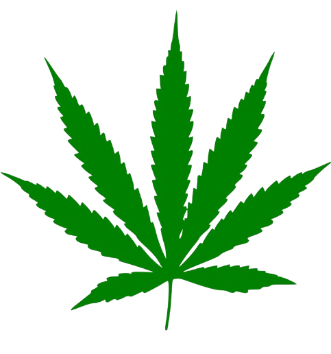 cannabis leaf.svg removebg preview