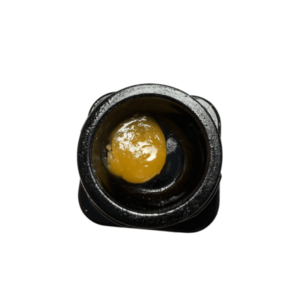 import placeholder for 868